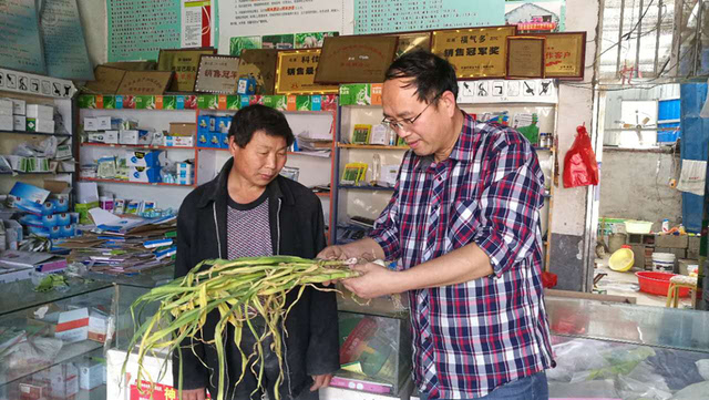 【走基層】走進山東蘭陵 農藥零售行業亟待規范與培訓